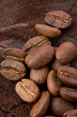 Coffee beans on wood background