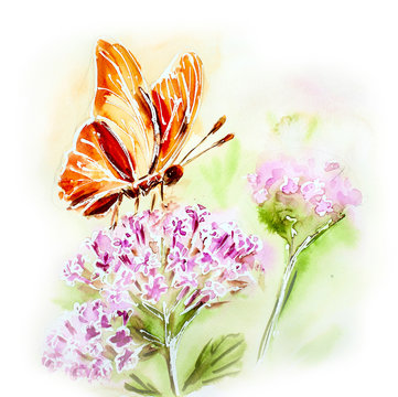 Fototapeta Malowane akwarela karty z letnich kwiatów i motyli