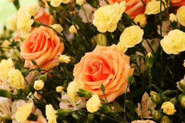 Roses
