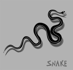 Fototapeta premium Snake - vector illustration