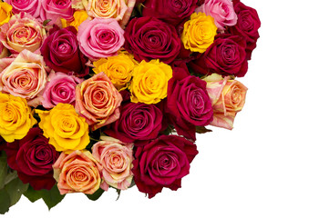 Obraz na płótnie Canvas Multicolored roses