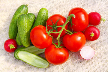 Fresh garden vegetables isolated.