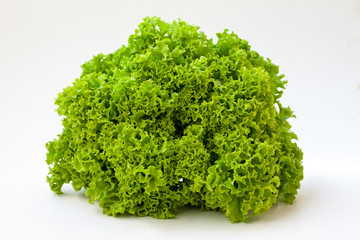 Obraz premium organic green lettuce, close up