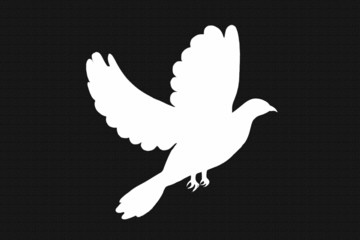 dove background texture design
