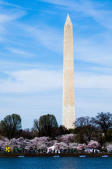 Washington DC cherry blossom with lake and Washington Monument.