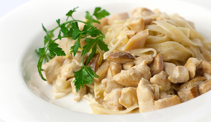 fettuccine with porcini mushrooms