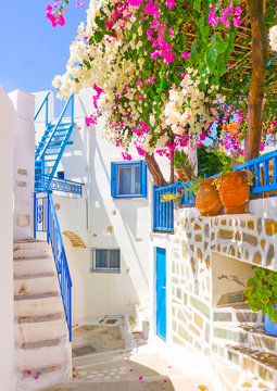 Fototapeta typical cycladitic scene in Langada of Amorgos island in Greece