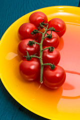 fresh tomatoes on branches