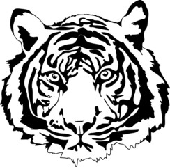 tiger head in black interpretation - 63928640