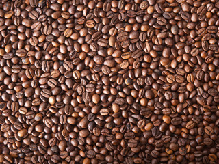 Numerous coffee beans which have been scattered all over the sur
