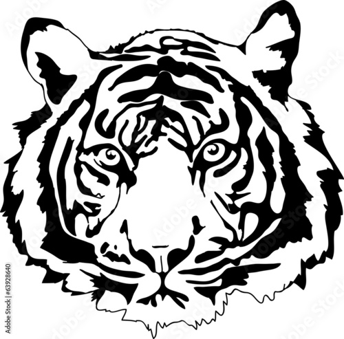 Tigerkopf Zum Ausmalen