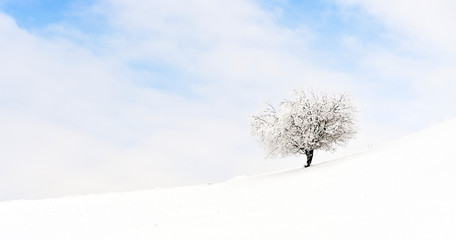 beautiful winter landscape