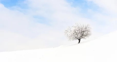 Fototapete Winter beautiful winter landscape