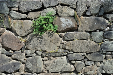 Stone wall