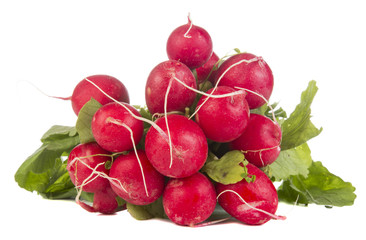 radish closeup
