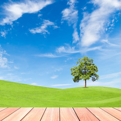 Fototapeta na wymiar tree on green grass field with blue sky and wood plank