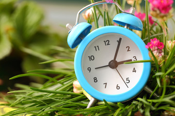 Classic alarm clock with pink flowers and grass