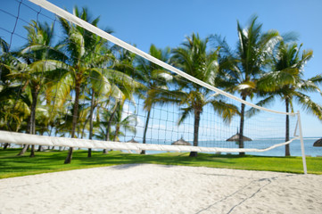 Tropical resort with volleyball court