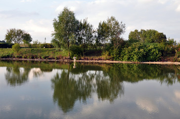 Fototapeta na wymiar tree reflection on the water surface of the lake