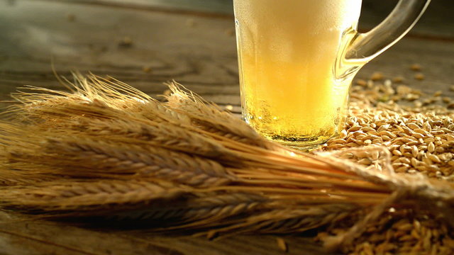 beer and barley