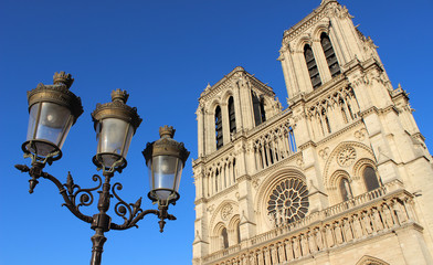 Fototapeta na wymiar La cathédrale Notre Dame de Paris