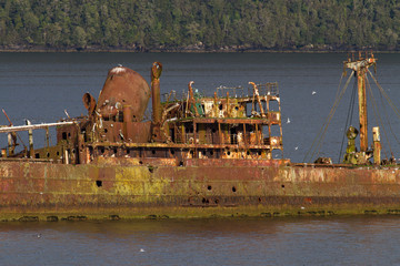 Ship wreck in a fjord of Patagonia
