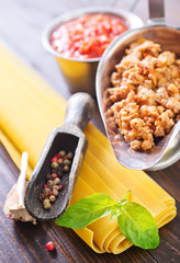 dough for lasagna and ingredients for lasagna