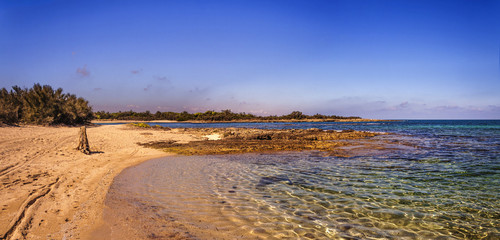 Costa del Salento: riserva  di Torre Guaceto.- (Puglia) ITALIA-