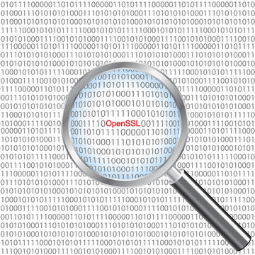 Illustration of the OpenSSL heartbleed bug under a magnifier