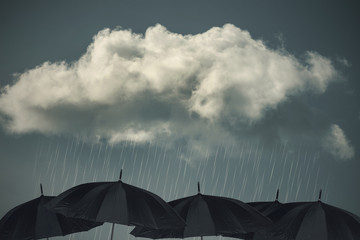 Rainy Days