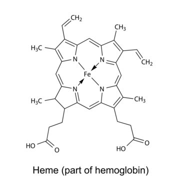 Structural chemical formula of  heme molecule