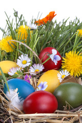  Easter eggs in the grass and flowers