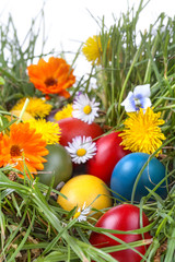  Easter eggs in the grass and flowers