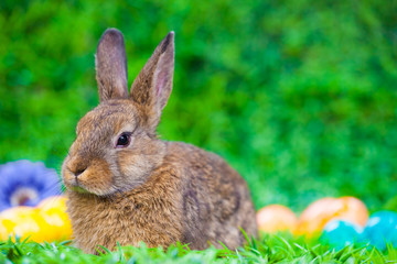 Easter