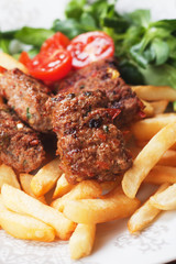 Square burgers with french fries