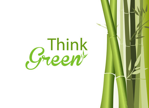 think green concept, giant green bamboo on white background