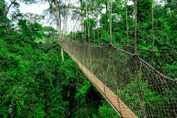 Kakum National Park, Ghana, West Africa