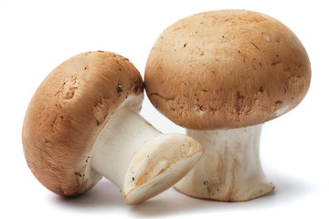 Portabello mushrooms