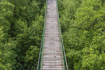 rope bridge made from wood over the forest