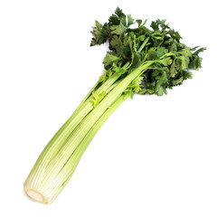 Céleri en branche - Green celery