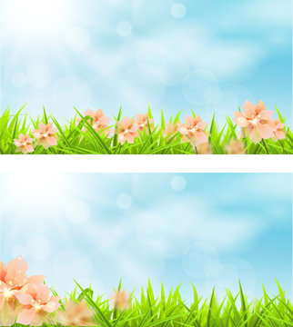 Primavera Banner