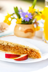 Apple pie on plate