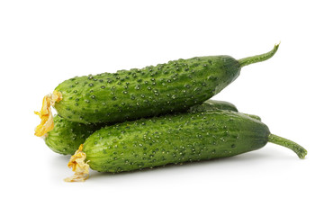 fresh organic greenhouse cucumbers