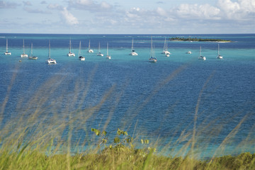 Saint Vincent and The Grenadines Tobago Cays Caribbean 6
