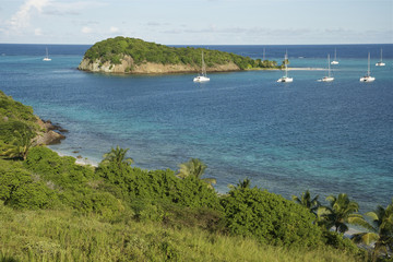 Saint Vincent and The Grenadines Tobago Cays Baradal 1 Caribbean
