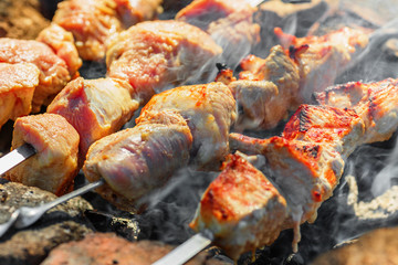 Shish kebab