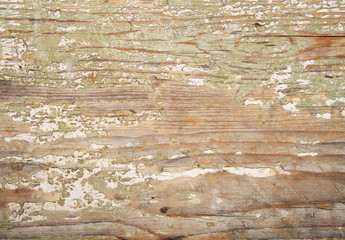 Old wood texture