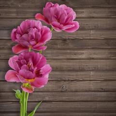 Beautiful bouquet of  tulips on  wooden background