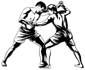 Mixed martial arts (MMA)