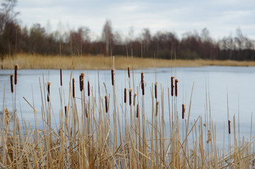 озеро © mifidor